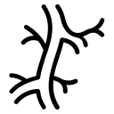 Angiologie et médecine vasculaire (veines et articulations) à Angers